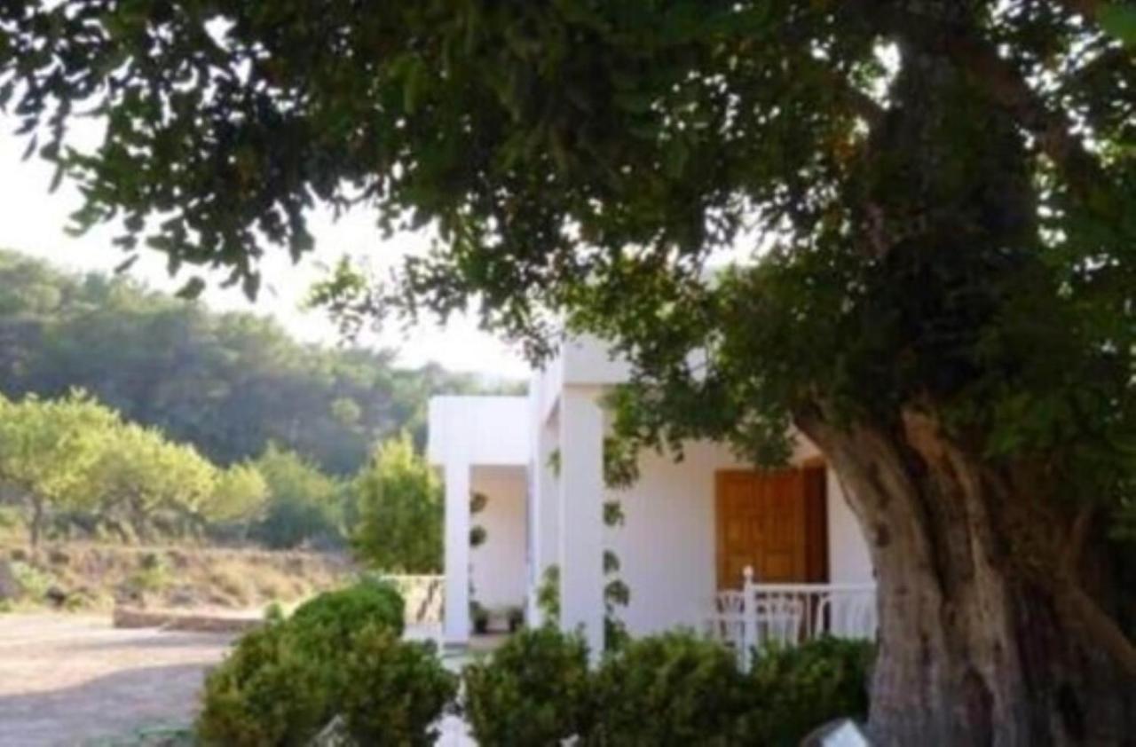 Can Ramon San José المظهر الخارجي الصورة